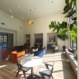 a lounge room with natural sunlight