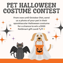 a social media post halloween contest