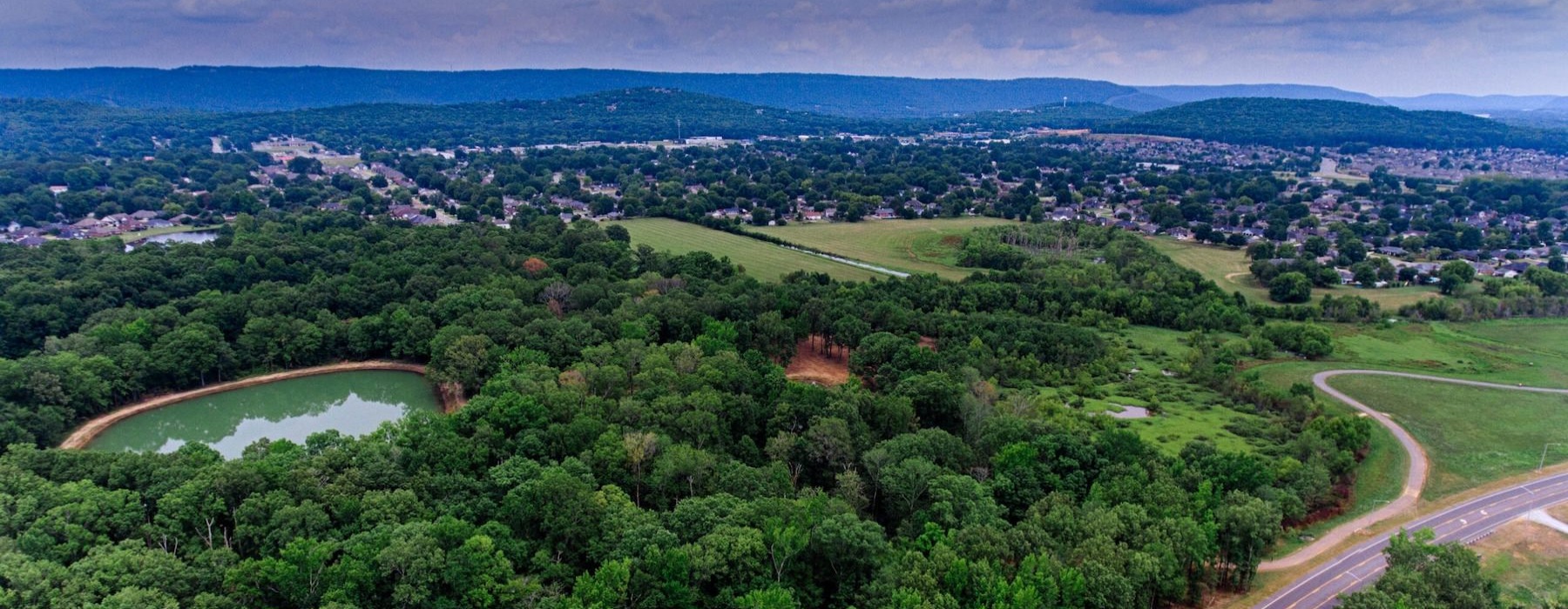 an aerial view of a group of trees and a road